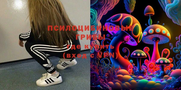 гашик Лабытнанги